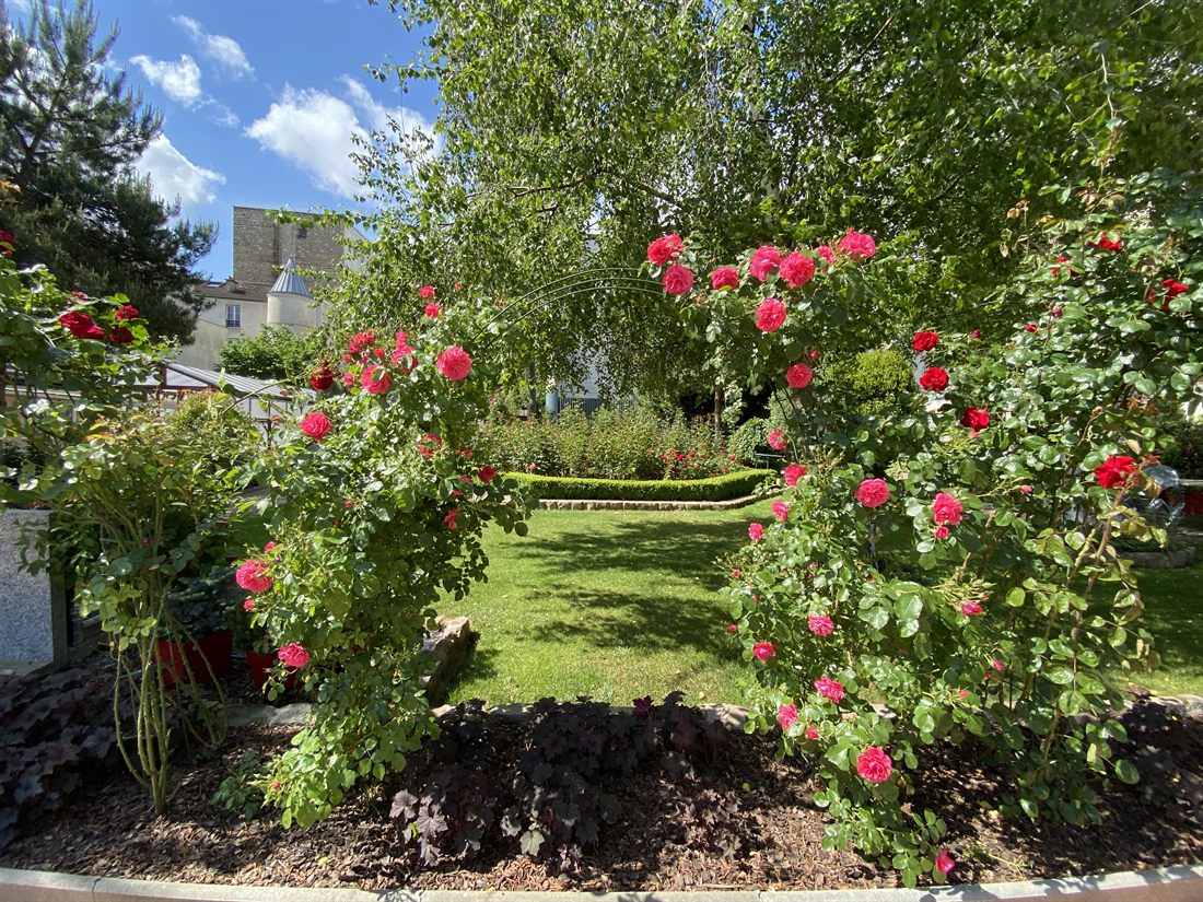 Le jardin fleuri